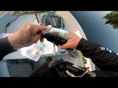 POTTUKOIRA KALASTAA 2023- AVOVESIKAUDEN AVAUS