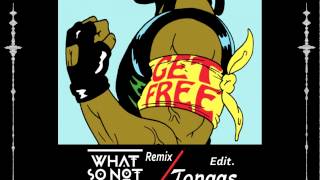 Major Lazer - Get Free ( What So Not remix ) - ( Tongas Edit )