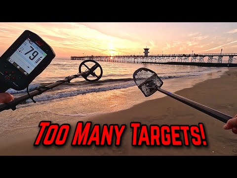 Target Frenzy • Metal Detecting the Beach