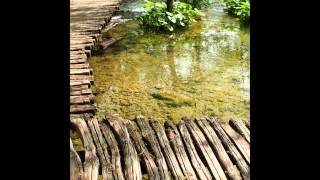 preview picture of video 'Croatia 5/6/2013 Plitvica lakes (16 lakes)'