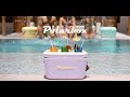 Polarbox Kühlbox Retro Cooler 20 l