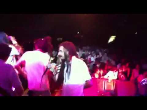 Train to roots & Mellow Mood @ BUS Featival