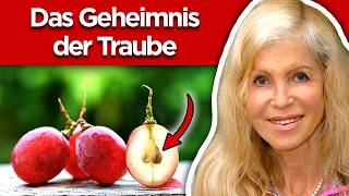 OPC Traubenkernextrakt (Das verschweigt dir dein Arzt)