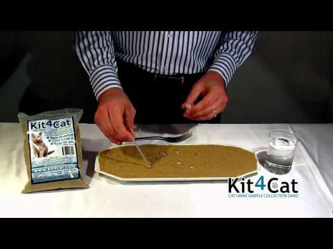 Kit4Cat - Urine Sample Collection Sand