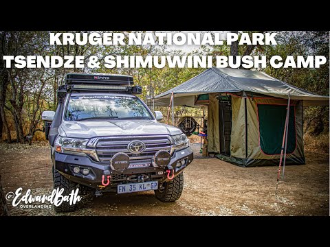 KRUGER NATIONAL PARK | TSENDZE & SHIMUWINI BUSH CAMP  | Episode 1