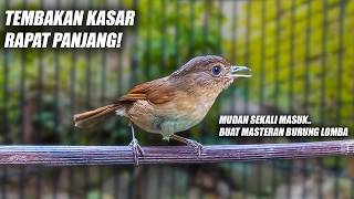 Download lagu MASTERAN KASAR RAPAT PANJANG!! FLAMBOYAN GACOR FULL NEMBAK NYERECET NGEBREN NGEROL BESETAN PANJANG mp3