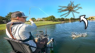 Fishing A NEW Summer Lure For Hungry Bass!