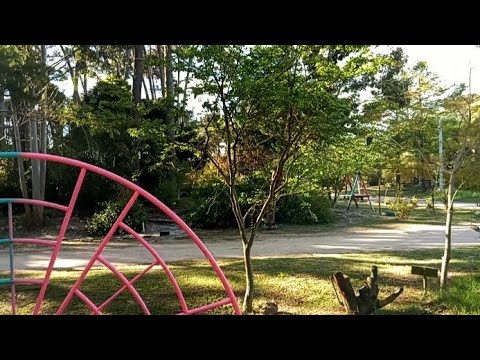 Recorrido por el Parque de los Pájaros 🐦‍⬛💐 Uruguay 🇺🇾