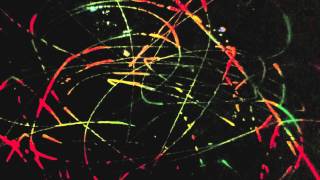 Beat Spacek - 'I Wanna Know'