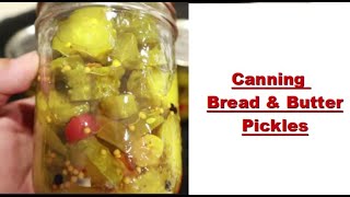 How to make BREAD AND BUTTER PICKLES using HOT WATER BATH canning recipe