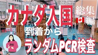 【カナダ入国総集編】到着からランダムPCR検査まで一連の流れをご紹介！