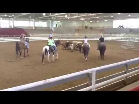 Clara and Cody team penning for the very first time.
