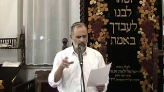 פרשת בא - מכת בכורות
