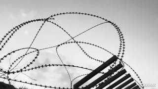 Cop Shoot Cop - Cut to the Chase