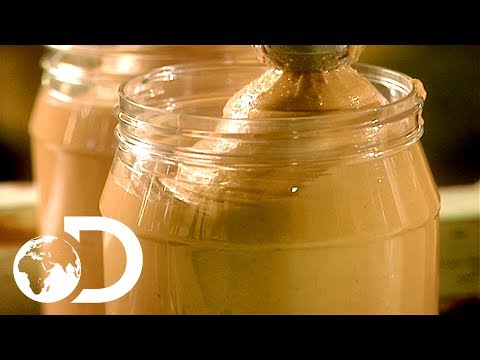 Peanut Butter | How It's Made