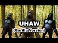 Dilaw - Uhaw (Tayong Lahat) Gorilla Dance #uhaw #dilaw #uhaw #dancemonkey #dance #music