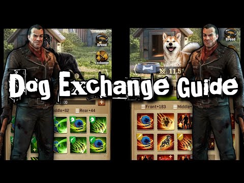 High Success Rate Dog Exchange Strategy 🐶 | The Walking Dead Survivors (Part 1)
