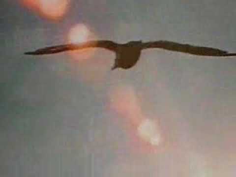 AGOSTO 2020 - GIOVEDI' 20 - Culto settimanale - Napoli 16.09.2010 -