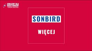 Kadr z teledysku Więcej tekst piosenki Sonbird