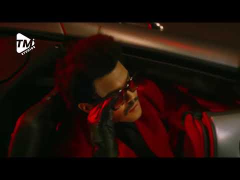 TM Studios Presents: Demo of our Signature TM Jingle Packages - May 2021 #JinglesEvolved