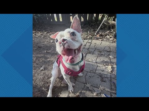 Sammy's Stars: Nov. 17, 2025 - YouTube