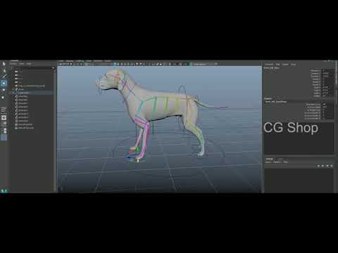 Dog rigging in auto desk Maya [rigging demo reel]