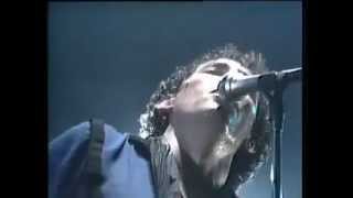 Reina De La Noche Lyrics English Translation