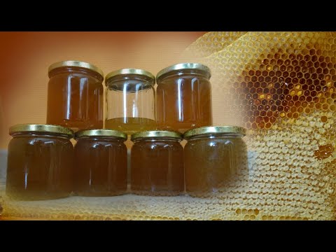 Honigernte | Bienenkiste #2 | pikiexe