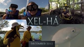 preview picture of video 'Xel-Há (Xel-Ha)'