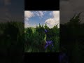 Nature In Full Bloom