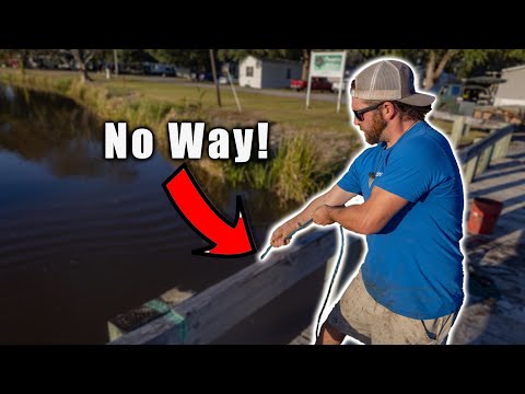 Magnet Fishing Gone Crazy! This Canal Is LOADED With Hidden TREASURES!