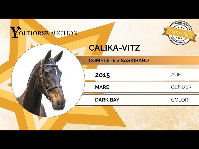 Calika-Vitz