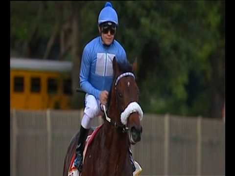 Legislate - 2015 Rising Sun Gold Challenge Gr1