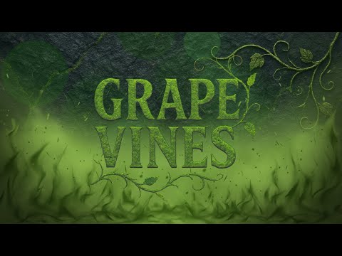 LUCASRAPS - GRAPEVINES (feat. CA$H KHALI) [OFFICIAL MUSIC VIDEO]