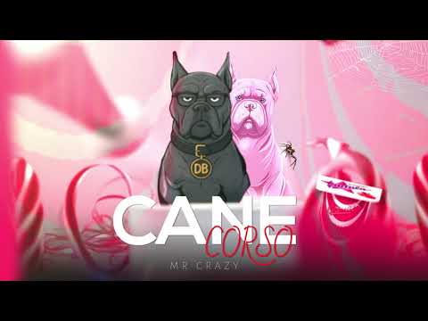 MR CRAZY - CANE CORSO (disstrack)