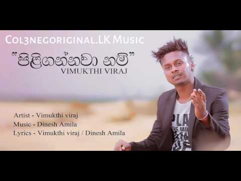 Piligannawanam Oya - Vimukthi Viraj