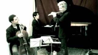 "My Cherie Amour" (S. Wonder) - Fluticello Piano Trio