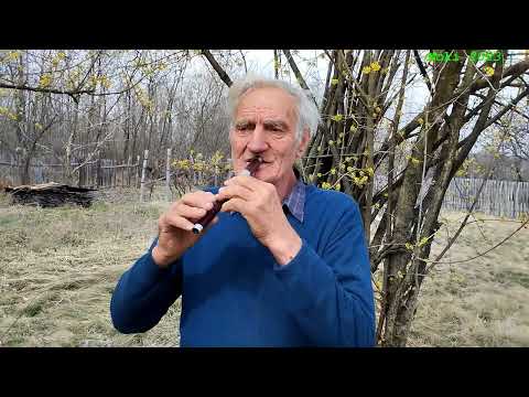 Petar Ljeparević - Šljapa-Bata Perino kolo 2023.