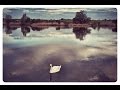 Визуальная медитация -- А белый лебедь на пруду 