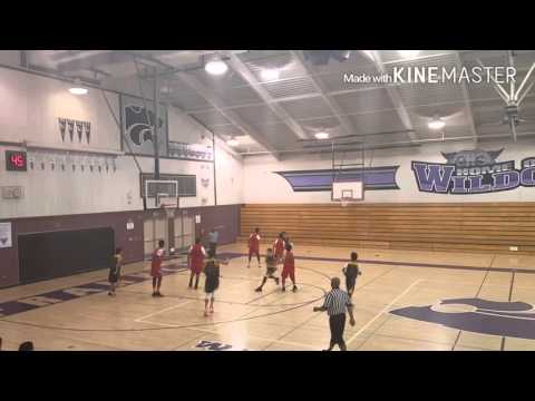 13u Sacramento Cobras