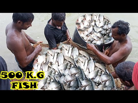Most Satisfying Cast Net Fishing Video Catch Fish - Traditional Catch Fish village Hunter&cooking .