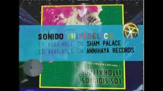 Los Siquicos Litoraleños- Sonido Chipadelico album- Promo Clip 1 (por Siquicoide Funcional)