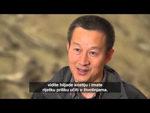 AJ Svijet  - Nedjelja 21:30