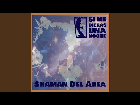 Si Me Dieras una Noche