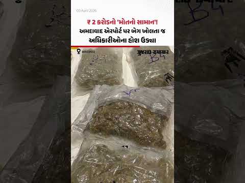 ₹ 2 કરોડનો 'મોતનો સામાન'! અમદાવાદ એરપોર્ટ પર બેગ ખોલતા જ અધિકારીઓના હોશ ઉડ્યા