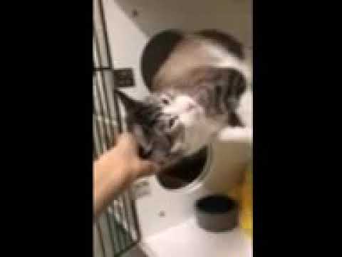 Katcha 94405 at ACC of NYC