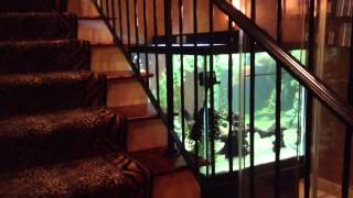 Full Tour Salon And Day Spa