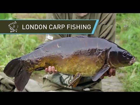 Carp Fishing Video Alfie Russell at Hampstead Heath London Nash H-Gun