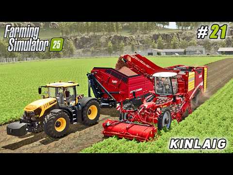 Harvesting Red Beets After Onions - Multi-Crop Factory Strategy | FS 25 | Kinlaig Farm | ep #21