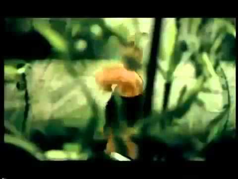 Apache Indian feat  teriyan adavaan by Preet harpal FLV